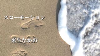 スローモーション　来生たかお