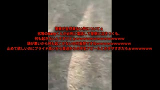 ネット弁慶なのにネットでも手も足も出なくて脅しにもならない脅しをしてしまう敗北者Gary
