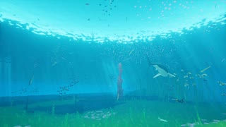 久しぶりのABZU