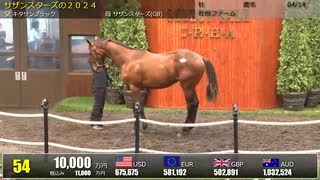 【セレクトセール2025】 １日目１歳馬 上場番号31～60