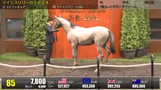 【セレクトセール2025】 １日目１歳馬 上場番号61～90