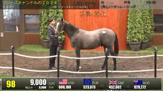 【セレクトセール2025】 １日目１歳馬 上場番号91～120