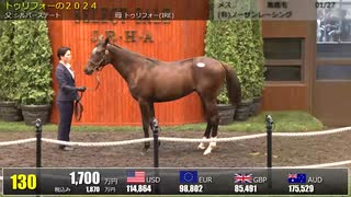 【セレクトセール2025】 １日目１歳馬 上場番号121～150