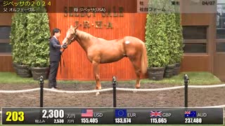 【セレクトセール2025】 １日目１歳馬 上場番号151～180