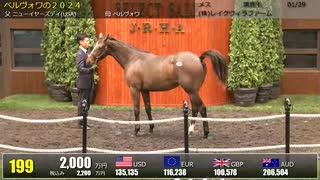 【セレクトセール2025】 １日目１歳馬 上場番号181～210