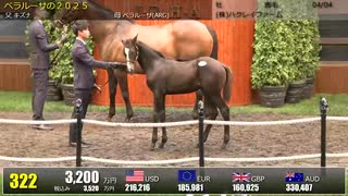 【セレクトセール2025】 ２日目当歳馬 上場番号301～330
