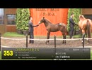 【セレクトセール2025】 ２日目当歳馬 上場番号331～360