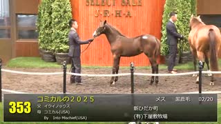 【セレクトセール2025】 ２日目当歳馬 上場番号331～360