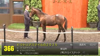 【セレクトセール2025】 ２日目当歳馬 上場番号361～390