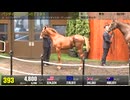 【セレクトセール2025】 ２日目当歳馬 上場番号391～420