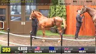 【セレクトセール2025】 ２日目当歳馬 上場番号391～420