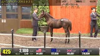【セレクトセール2025】 ２日目当歳馬 上場番号421～450