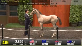 【セレクトセール2025】 ２日目当歳馬 上場番号451～480