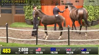 【セレクトセール2025】 ２日目当歳馬 上場番号481～510
