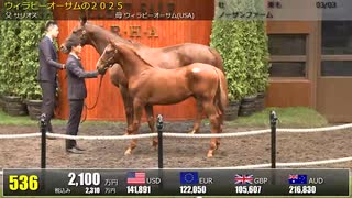 【セレクトセール2025】 ２日目当歳馬 上場番号511～540