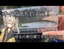 河川中流～下流域でのオイカワ釣り