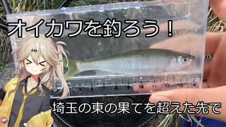 河川中流～下流域でのオイカワ釣り