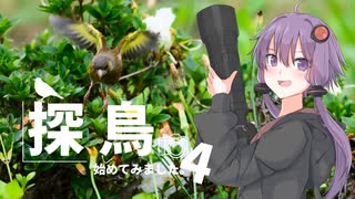 探鳥始めてみました。4
