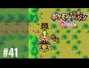 ポケモン不思議ダンジョン　赤の救助隊実況プレイしてみた⭐️＃41【てぃきみ】〜全ポケモン捕まえる旅(032/413)〜