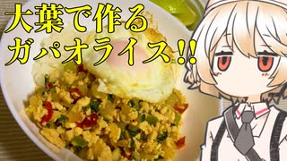 大葉のガパオライス風【ナースロボ】