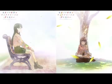 アニメ「青春ブタ野郎はサンタクロースの夢を見ない」ノンクレジットエンディング映像「水平線は僕の古傷」広川卯月&赤城郁美