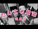 もん太の願望