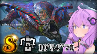 【#モンハンワイルズ】ガチガチの対策装備でベスト更新を目指していく【歴戦王ウズ・トゥナ】