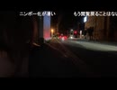 めじろうの嘘予告「また配信やります！実家から！」　※家族に怒られるので実家からの配信はほぼ不可能。やれるとしたら親のいない平日昼間だが、バレたらまた怒られるのでやらない可能性大