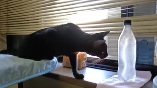 凍ったペットボトルが気にならなくなったこま