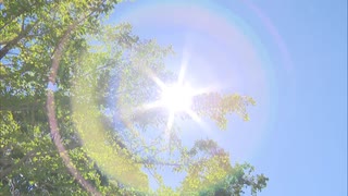 31日も厳しい暑さに　福岡県久留米市と大分県日田市で最高気温40℃の予想　佐賀市でも予想最高39℃　熱中症に警戒を