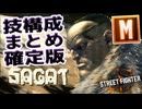 【スト６】モダンサガット技構成まとめ【Ver.1.1000.010】