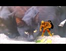 仲良しな黒猫たちとプロレスラー