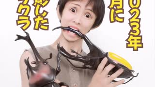 カブトムシにヘラクレス、男子の浪漫がたくさん詰まったプリクラ