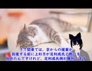 ちょっと詳しい日本史　応仁の乱　その２