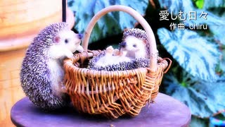 【素材BGM】  丁寧な生活「愛しむ日々」【フル×２】