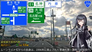 【消えた大垣夜行】国道258号 大垣 → 桑名 Part1/1【ミリアルさんと国道走破】