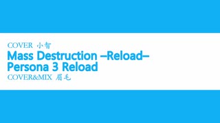 Mass Destruction -Reload-／P3R - 小智&眉毛 (Cover)