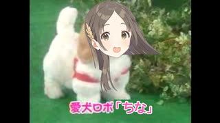 愛犬ロボ「ちな」