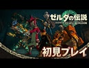 #222【ゼルダの伝説 ティアーズ オブ ザ キングダム】僕の考えた最強のチーム！