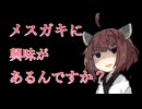 【東北きりたん】ちょっとヤンデレ気味のメスガキわからせ【VOICEVOX】