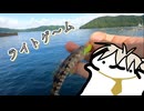 雨上がりにルアーでなんか釣る！【ライトゲーム】