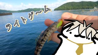 雨上がりにルアーでなんか釣る！【ライトゲーム】