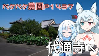 2025年7月30日　農作業日誌P1437　富士市の蓮の名所、代通寺へと朝市で見に行ったよ