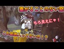 dbd　永久窓枠使い放題(バグ)完成
