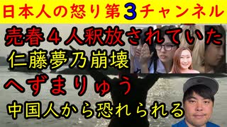 【売春４人女】仁藤夢乃会見当日に釈放され早速立ちんぼ再開【へずまりゅう】中国人から恐れられる存在に「仕事しとるやんか！