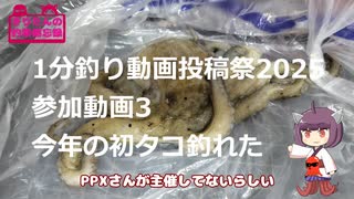 【1分釣り動画投稿祭2025】きりたんの釣果備忘録 　番外編3　初タコゲットだぜえ
