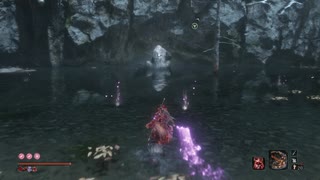 獅子猿　ノーダメージ　SEKIRO/隻狼/苦難厄憑