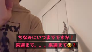 ③会社で偉くなるとミスが増え☹️他人のせいにまでしてしまう人間特性□