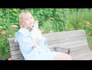 【市川】センチメートル 踊ってみた【2025夏ver.】