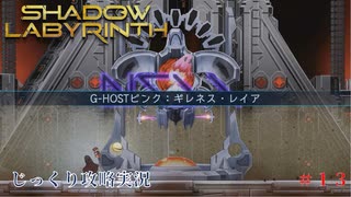 【SHADOW LABYRINTH】第13回　テーベーと決着をつけろ　じっくり攻略実況　シャドウラビリンス